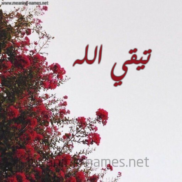 شكل 18 صوره الورد الأحمر للإسم بخط رقعة صورة اسم تيقي الله Taki-Allah